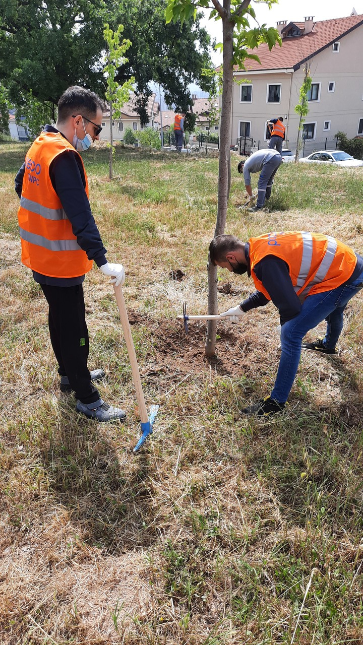 포스코 터키 가공센터 임직원이 부루사시 생태공원의 나무 주위에 물이 머무를 수 있는 물집을 만들고 있다